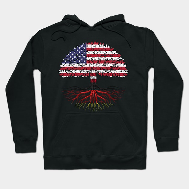 German American citizenship gift Hoodie by SerenityByAlex